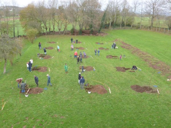 Une cinquantaine d'habitants a planté 15 arbres financés par la commune