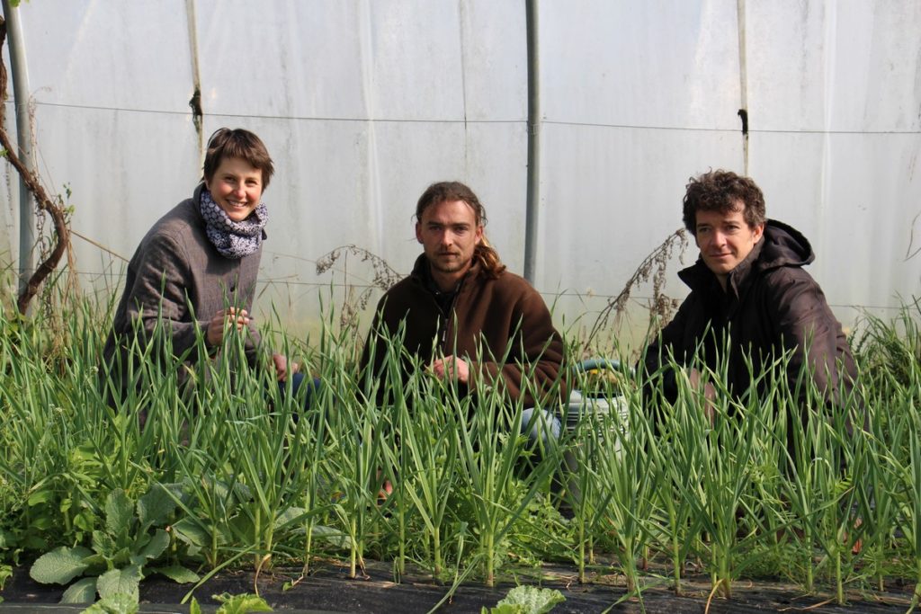 En Normandie, Rhizome accueille les porteurs de projets agricoles