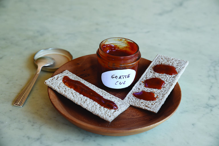 Cynorhodon, le plein de vitamines ! - Magazine Village