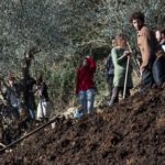 Compagnonnage alternatif et solidaire du Réseau Repas