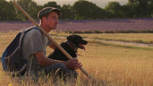 Une autre relation avec les animaux d'élevage démontrée dans ce film.