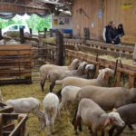 Insee : De moins en moins d'agriculteurs