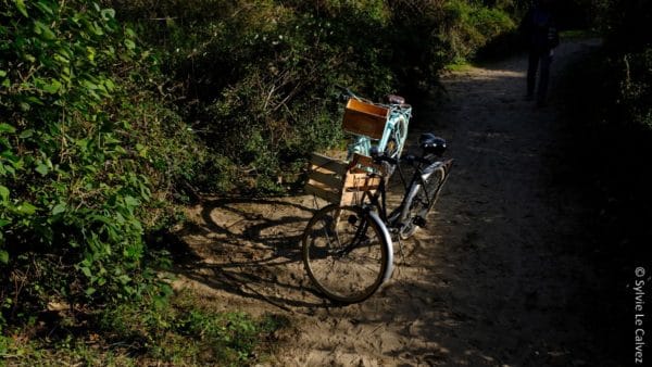 En ville comme à la campagne, le nombre de passages à vélo a augmenté de 30 % par rapport à la même période en 2019.