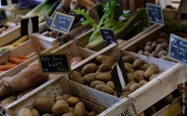 La Fondation Léa Nature / Jardin BiO lance un nouvel appel à projets pour stimuler et accélérer la transition des territoires en matière agricole et alimentaire.