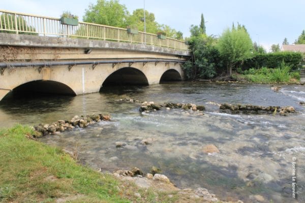 Plongez-vous dans les podcasts réalisés par les Agences de l’eau sur les rivières des régions.