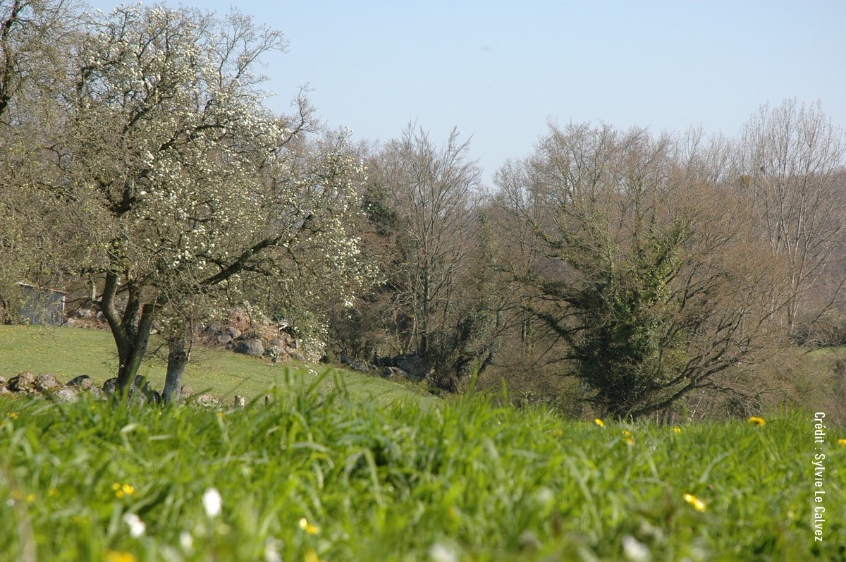 « Les Défis de l’Agroforesterie, transmettre, former et transformer », à l’EPL de Chartres – La Saussaye (28).