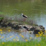 votre rechercheV154p26