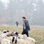 Namik Bovet, éleveur de brebis à Tarnac, a créé les rencontres à vos bêtes, pour réfléchir à la relation homme-animal.