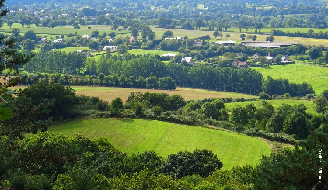 Quel avenir pour la ruralité ? Magazine Village