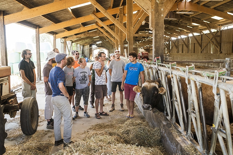 Alterfixe organise un camp cet été dans l'Orne pour soutenir l'installation collective agricole