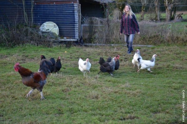 Femme avec des poules