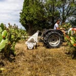 FRANCE – NEW CULTIVATION AND CLIMATE CHANGE