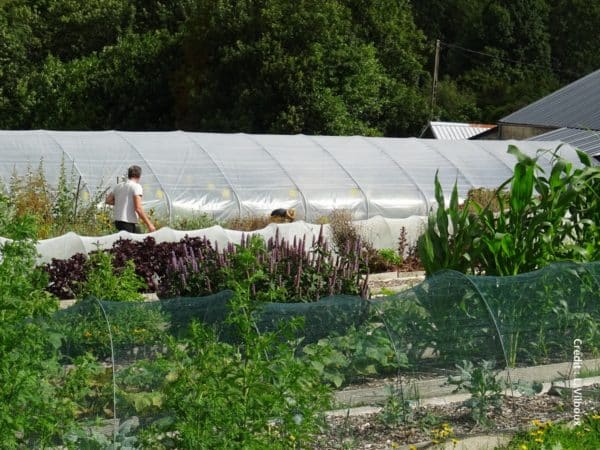 Une agriculture durable, c'est bon pour le climat