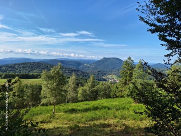 Un fonds citoyen pour le climat à Breitenbach (Bas-Rhin)