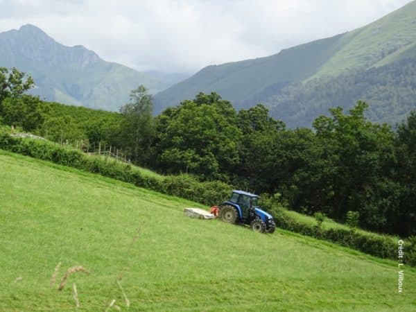 Tracteur dans un champ