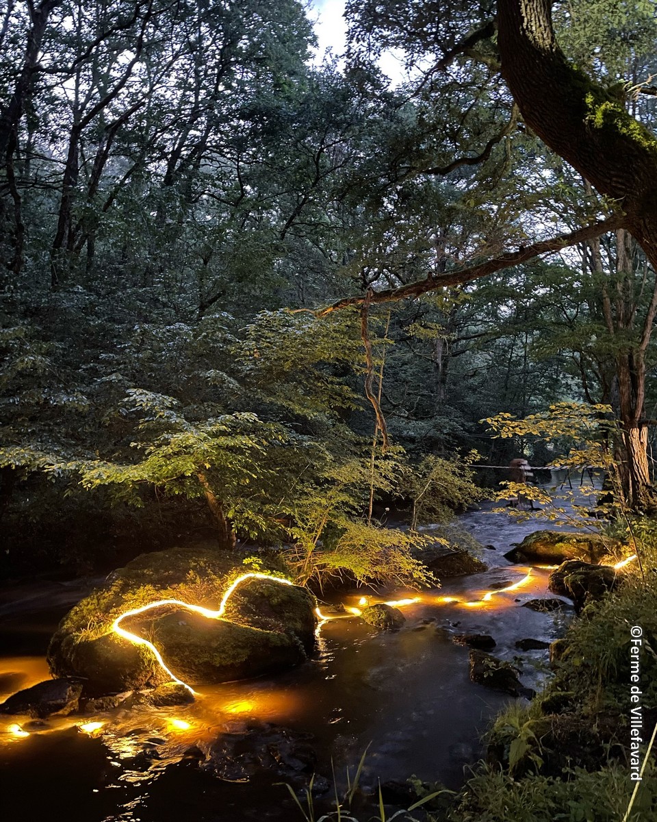 Les nuits des forêts, partout en France du 6 au 22 juin 2025