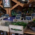 Légumes bio