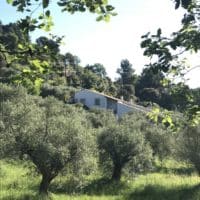 Vignette pour l'image de la liste principale