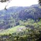 Cherche collaborateurs(rices) dans une ferme équestre Vosges montagne, (88)