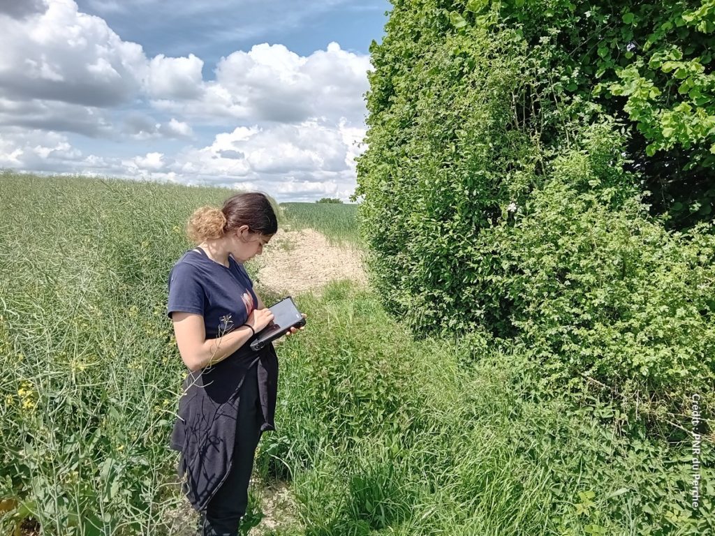 un inventaire participatif des haies bocagère est animé par Parc naturel régional du Perche.