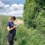 un inventaire participatif des haies bocagère est animé par Parc naturel régional du Perche.