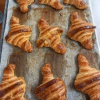 Vignette pour l'image de la liste principale