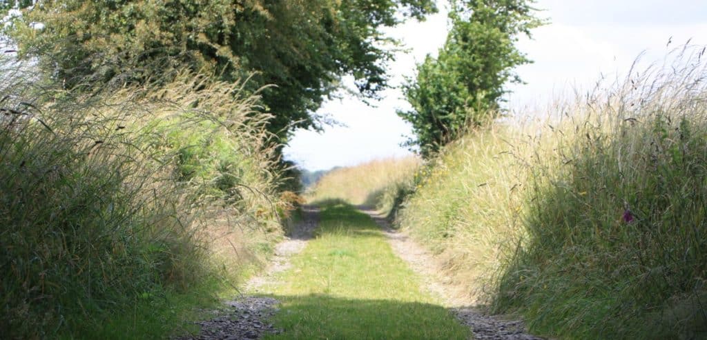 chemin de campagne