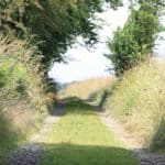 chemin de campagne