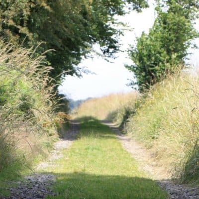 chemin de campagne