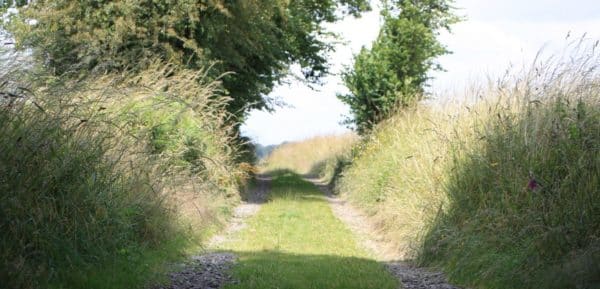 chemin de campagne