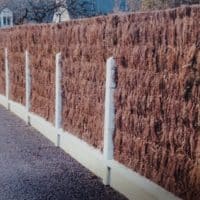 Vignette pour l'image de la liste principale