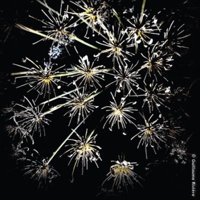 Mes nuits dans le jardin de Gilles Clément, un article du magazine Village