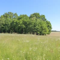 Vignette pour l'image de la liste principale