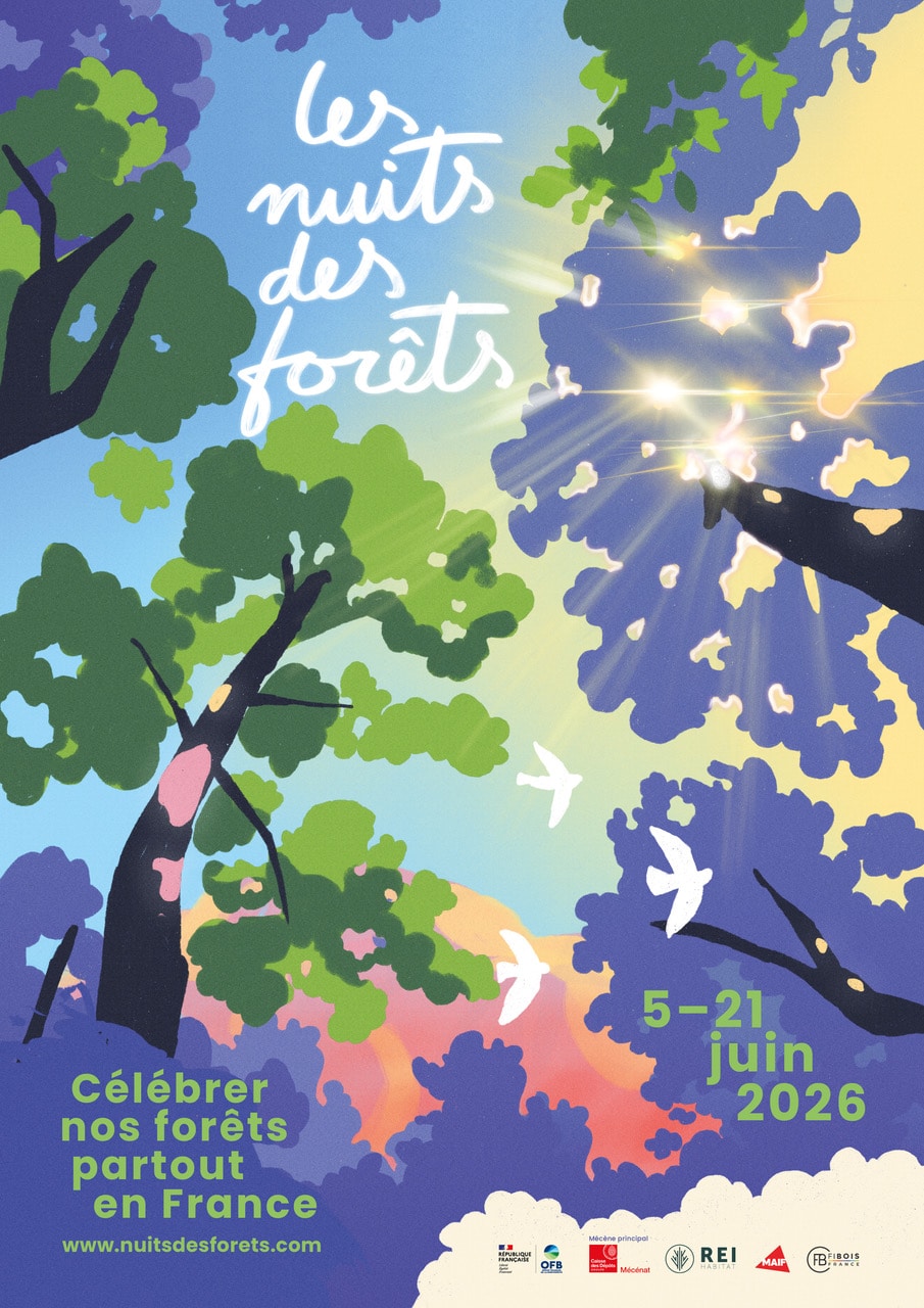 Les Nuits des forêts sont de retour du 5 au 21 juin 2026 un peu partout en France.