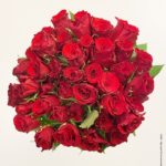 Bouquet de roses rouges I 2502-FLR01