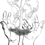 Une nouvelle formation en agroécologie va ouvrir à Limoges à la rentrée 2026.