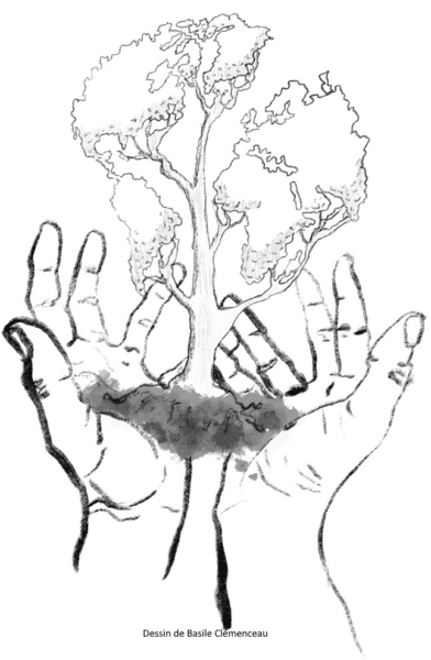 Une nouvelle formation en agroécologie va ouvrir à Limoges à la rentrée 2026.