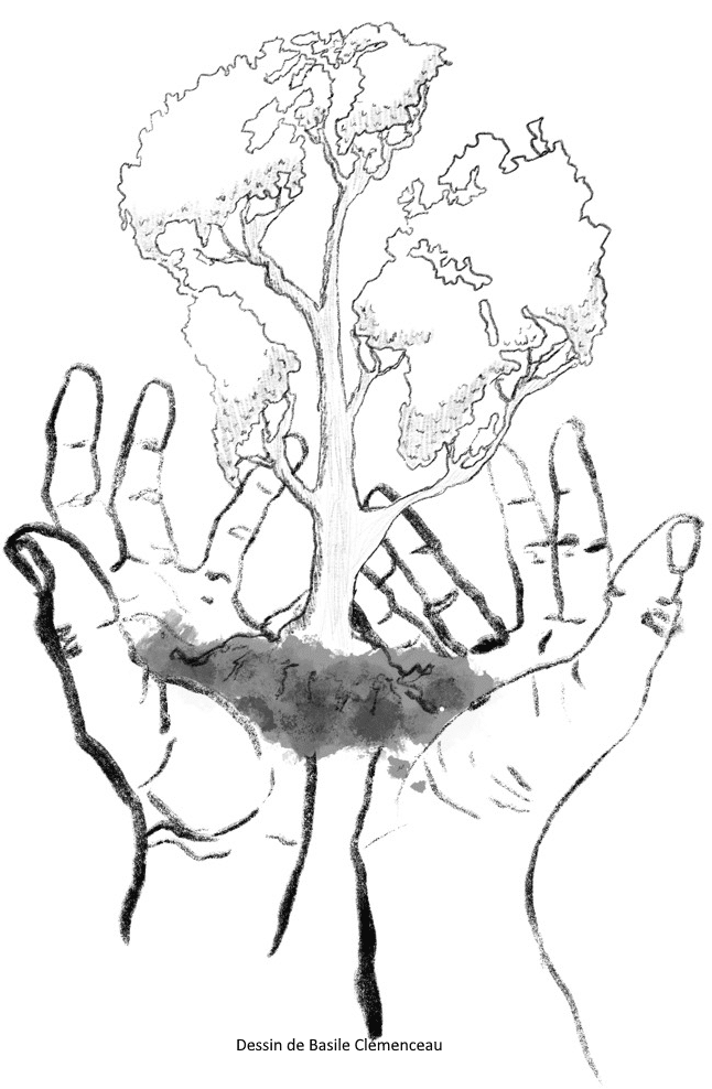 Une nouvelle formation en agroécologie va ouvrir à Limoges à la rentrée 2026.