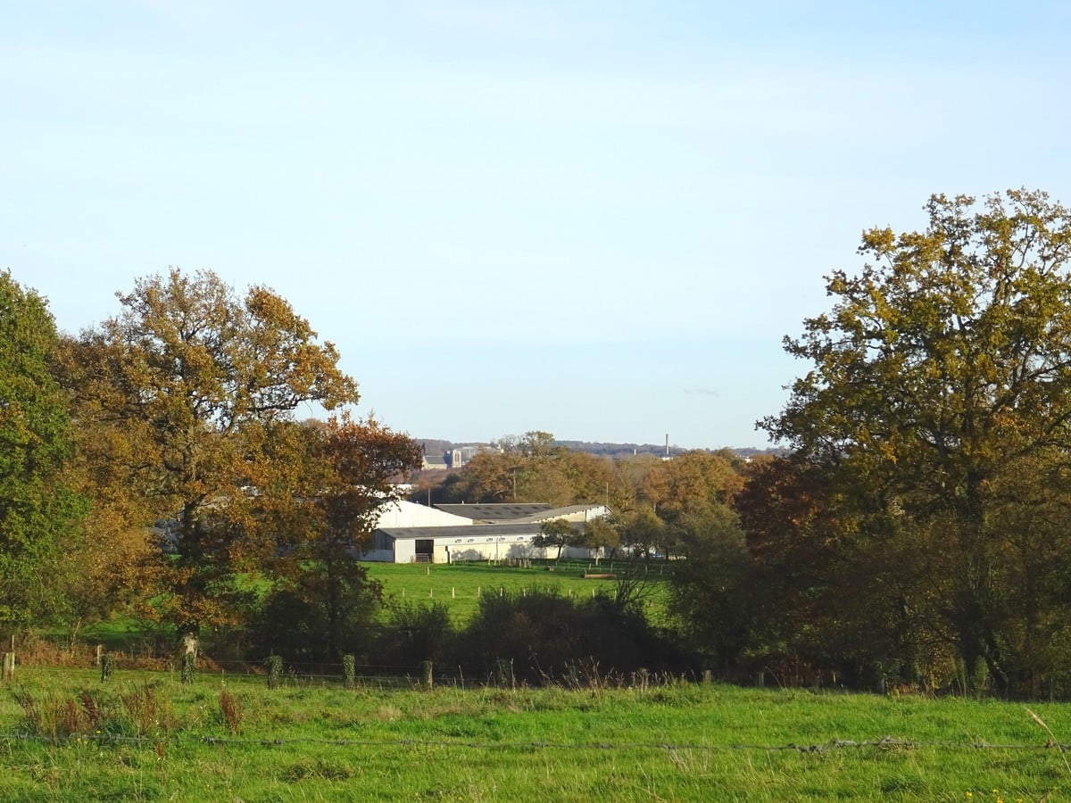 Les usines ouvrent leurs portes les 20 et 21 mars 2026