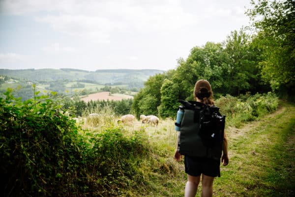 Le réseau Accueil Paysan lance les Randos Paysannes : des parcours de marche variés à la découverte du monde rural, et à la rencontre des paysan·nes, artisan·nes et habitant·es