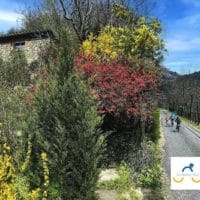 Vignette pour l'image de la liste principale