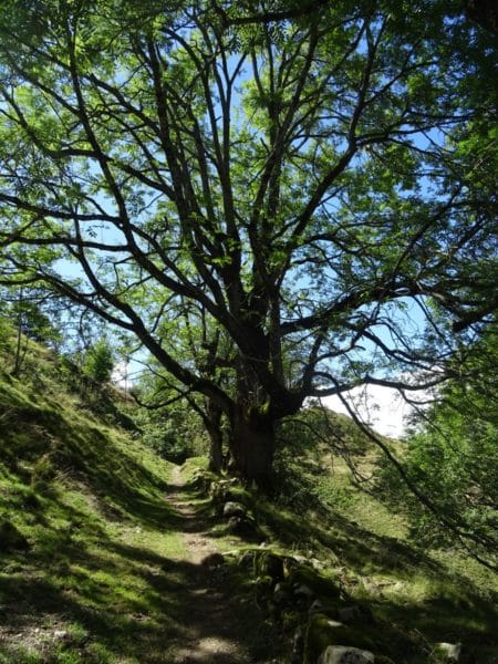 Quatre podcast pour mieux comprendre les enjeux agricoles, climatiques et environnementaux.