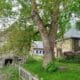 Propriété avec maison d'habitation et 2 gîtes ruraux en Auvergne, au coeur de la Chaîne des Puys