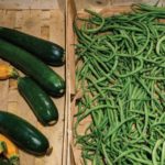 Les magasins de producteurs se fédèrent Les magasins de producteurs se fédèrent
