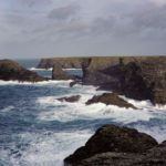 Plus de bio sur le littoral Plus de bio sur le littoral