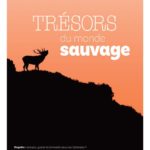 Un magazine coopératif pour le massif