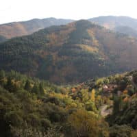 Vignette pour l'image de la liste principale