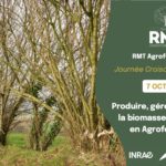7 octobre, rencontre sur la biomasse issue des systèmes agroforestiers biomasse agroforesterie