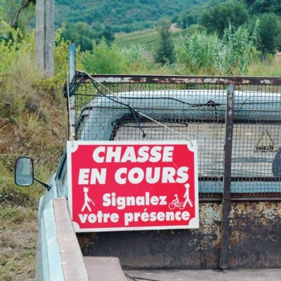 Chaque année en France, 1,7 million d’animaux déclarés Espèces susceptibles d’occasionner des dégâts (Esod), sont abattus pour réduire les dommages. Mais est-ce efficace ?