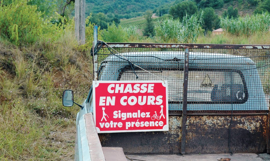 Chaque année en France, 1,7 million d’animaux déclarés Espèces susceptibles d’occasionner des dégâts (Esod), sont abattus pour réduire les dommages. Mais est-ce efficace ?